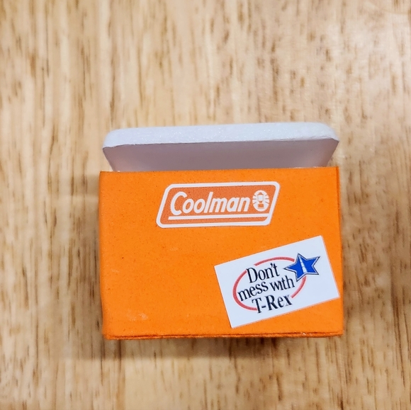 Summer Time Dino Display - Picture 8 of 15